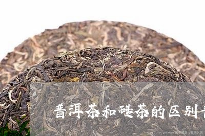 普洱茶和砖茶的区别普洱茶霉菌/2023053067159