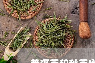 普洱茶和秋茶哪个好喝/2023100858262