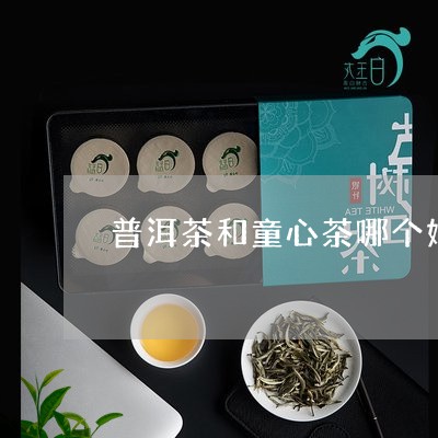 普洱茶和童心茶哪个好/2023100778593