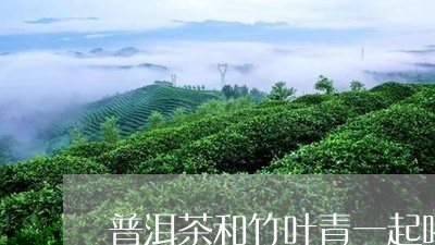 普洱茶和竹叶青一起喝/2023061483824