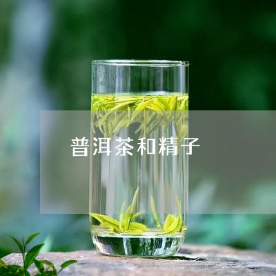 普洱茶和精子/2023042620659