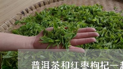 普洱茶和红枣枸杞一起泡好吗/2023052798490