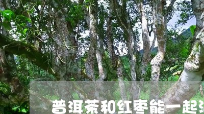 普洱茶和红枣能一起泡/2023092563715