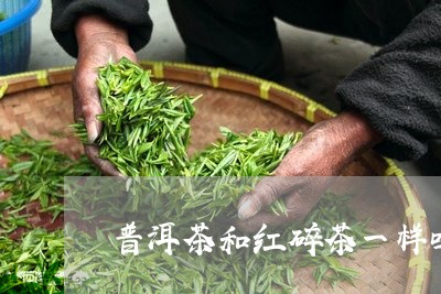 普洱茶和红碎茶一样吗/2023061989481