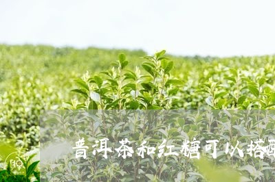 普洱茶和红糖可以搭配吗/2023102435261