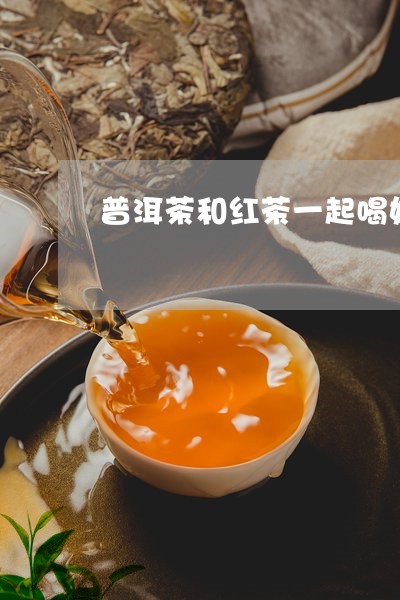 普洱茶和红茶一起喝好/2023092745384