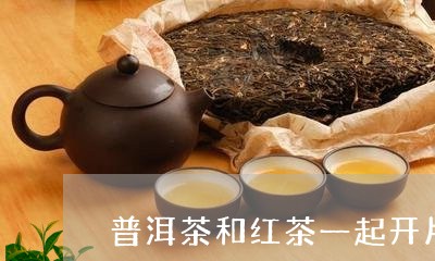 普洱茶和红茶一起开片/2023092576038