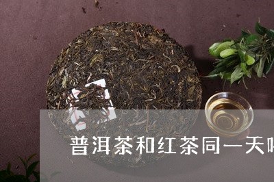 普洱茶和红茶同一天喝好吗/2023112459474