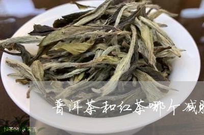 普洱茶和红茶哪个减肥效果好/2023052786948