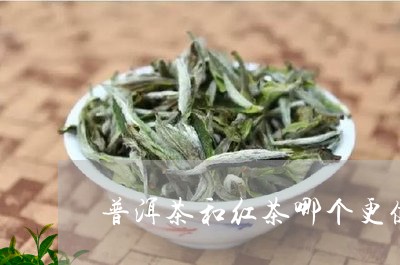 普洱茶和红茶哪个更健康一些/2023110601796