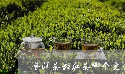 普洱茶和红茶哪个更贵/2023121682816