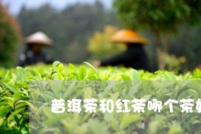 普洱茶和红茶哪个茶好/2023100720604