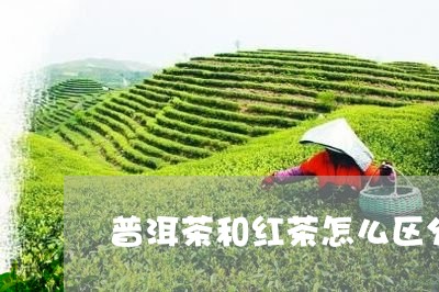 普洱茶和红茶怎么区分/2023062506160