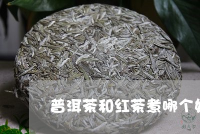 普洱茶和红茶煮哪个好/2023093077160