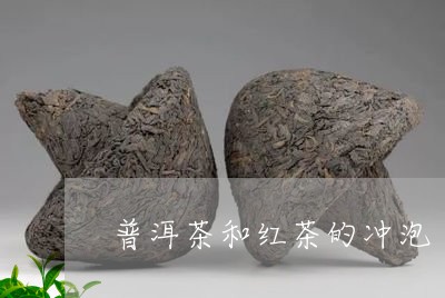 普洱茶和红茶的冲泡/2023071039482