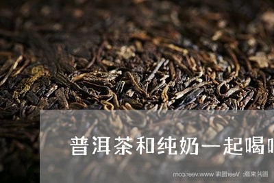 普洱茶和纯奶一起喝吗/2023092691513