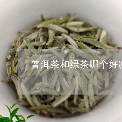 普洱茶和绿茶哪个好减肥/2023050686264