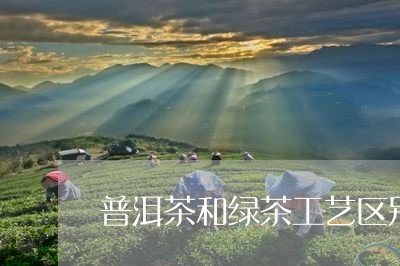 普洱茶和绿茶工艺区别/2023073129471