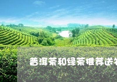 普洱茶和绿茶推荐送礼/2023100515059