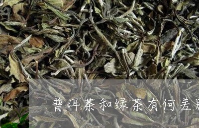 普洱茶和绿茶有何差别/2023093023938