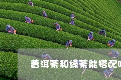 普洱茶和绿茶能搭配吗/2023062390571