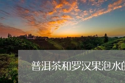 普洱茶和罗汉果泡水的比例/2023112926360