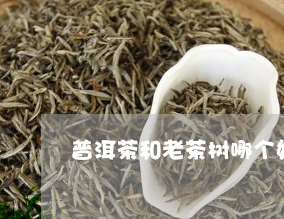 普洱茶和老茶树哪个好/2023072486049