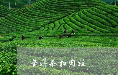 普洱茶和肉桂/2023042786363