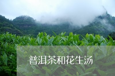 普洱茶和花生汤/2023120339472