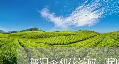 普洱茶和花茶放一起喝/2023092663947