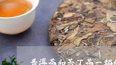 普洱茶和苦丁茶一起的功效/2023112818371