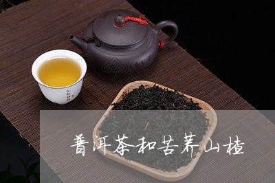 普洱茶和苦荞山楂/2023080359582