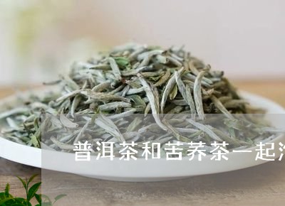 普洱茶和苦荞茶一起泡/2023092747252