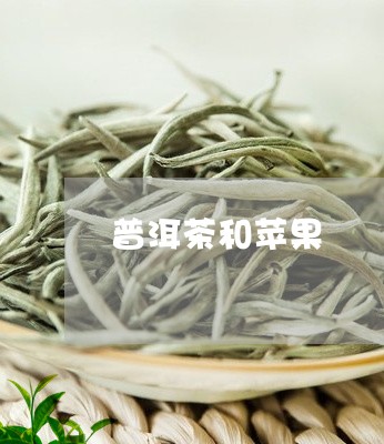 普洱茶和苹果/2023042996197