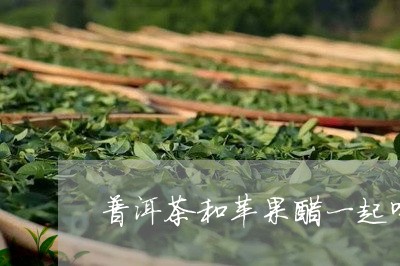 普洱茶和苹果醋一起喝/2023061481602