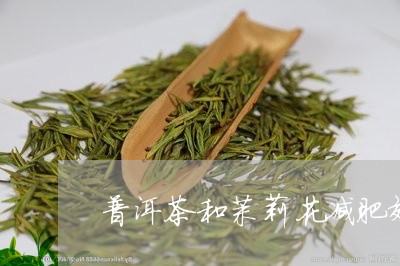 普洱茶和茉莉花减肥效果好吗/2023102580402