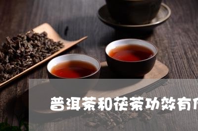 普洱茶和茯茶功效有什么区别/2023052728290