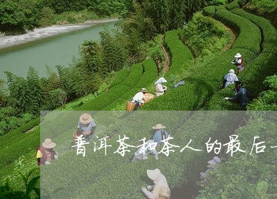 普洱茶和茶人的最后一站/2023082536048