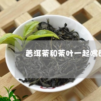 普洱茶和茶叶一起喝的危害/2023051004260