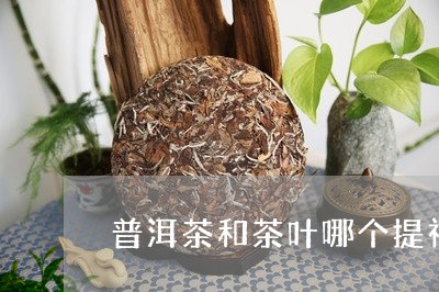 普洱茶和茶叶哪个提神/2023100822725