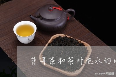 普洱茶和茶叶泡水的比例/2023122060581