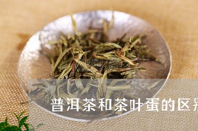 普洱茶和茶叶蛋的区别/2023061358594