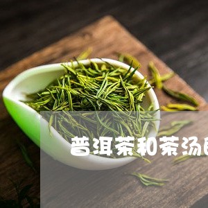 普洱茶和茶汤的区别是什么/2023112529489