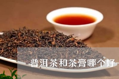 普洱茶和茶膏哪个好一点/2023102569692