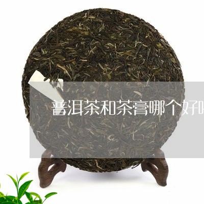 普洱茶和茶膏哪个好喝/2023100706171