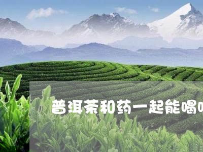 普洱茶和药一起能喝吗/2023061460593