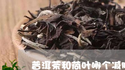 普洱茶和荷叶哪个减肥/2023080113137