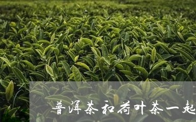 普洱茶和荷叶茶一起喝/2023093018369