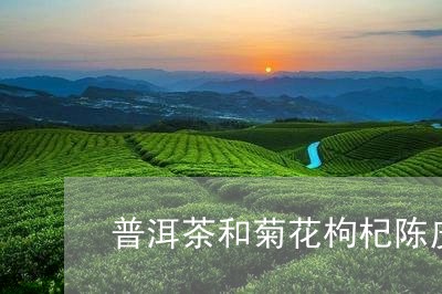 普洱茶和菊花枸杞陈皮一起喝好吗/2023110316472