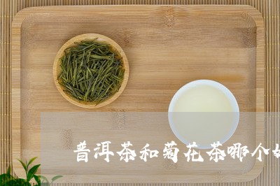 普洱茶和菊花茶哪个好/2023092712713